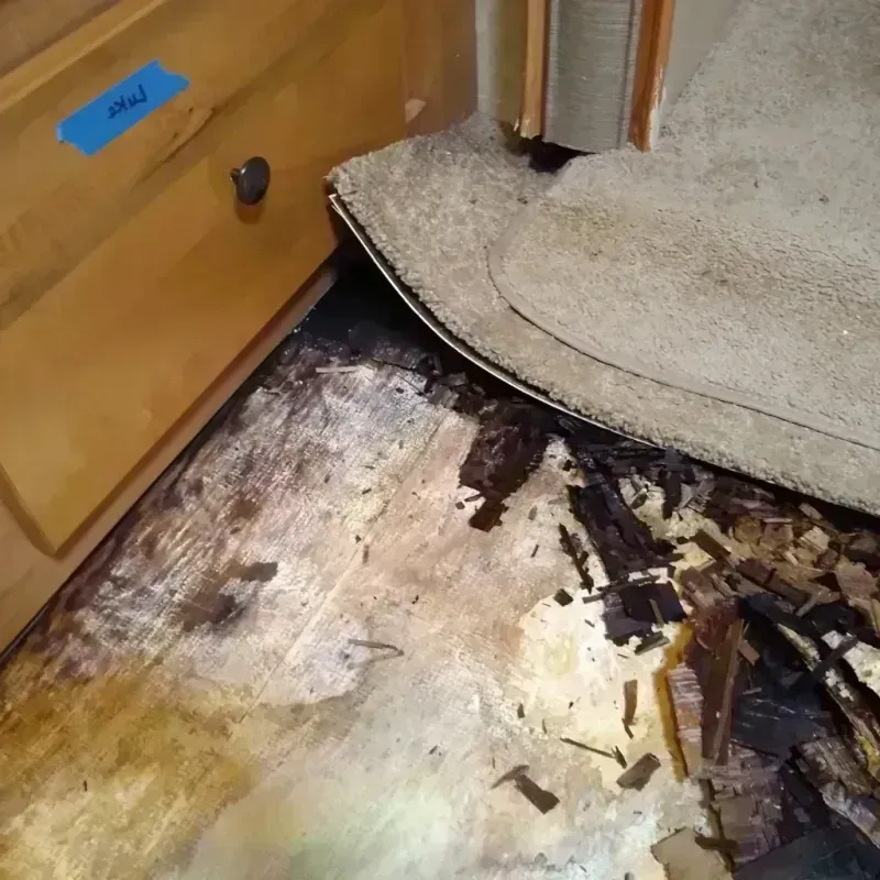 Best Wood Floor Water Damage Service in Jacksonville, NC